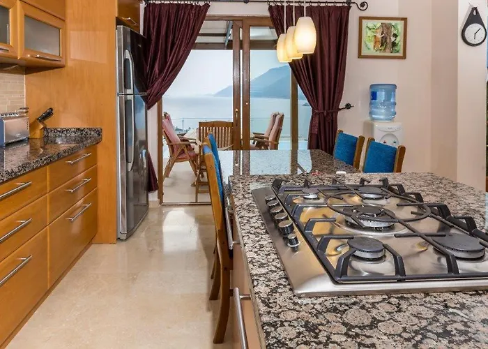 فيلة Suzan - كاس